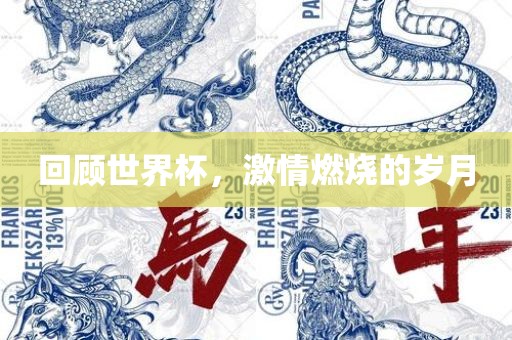 回顾世界杯，激情燃烧的岁月