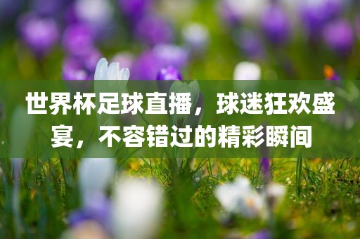 世界杯足球直播，球迷狂欢盛宴，不容错过的精彩瞬间