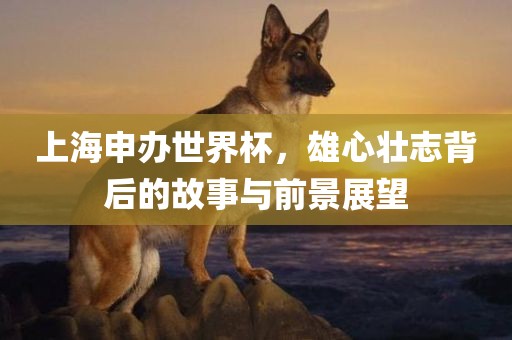 上海申办世界杯，雄心壮志背后的故事与前景展望