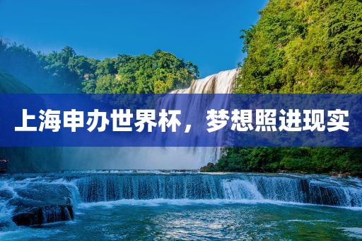 上海申办世界杯，梦想照进现实