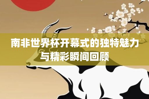 南非世界杯开幕式的独特魅力与精彩瞬间回顾