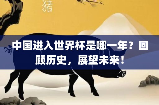 中国进入世界杯是哪一年？回顾历史，展望未来！
