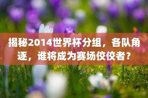 揭秘2014世界杯分组，各队角逐，谁将成为赛场佼佼者？