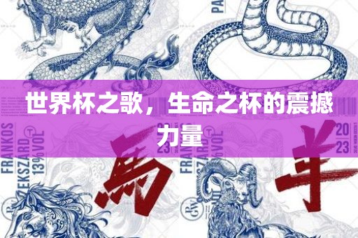 世界杯之歌，生命之杯的震撼力量