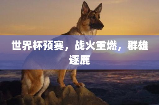 世界杯预赛，战火重燃，群雄逐鹿