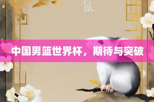 中国男篮世界杯，期待与突破