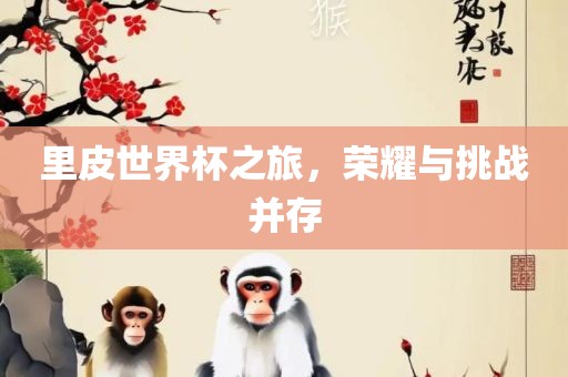 里皮世界杯之旅，荣耀与挑战并存