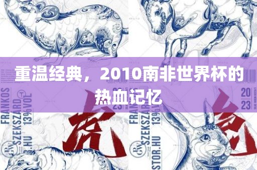 重温经典，2010南非世界杯的热血记忆