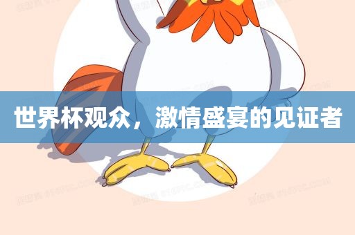 世界杯观众，激情盛宴的见证者