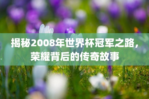 揭秘2008年世界杯冠军之路，荣耀背后的传奇故事