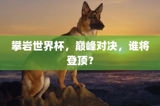 攀岩世界杯，巅峰对决，谁将登顶？