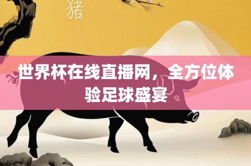 世界杯在线直播网，全方位体验足球盛宴