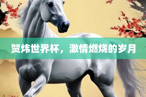 贺炜世界杯，激情燃烧的岁月