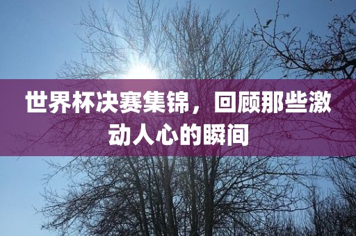 世界杯决赛集锦，回顾那些激动人心的瞬间