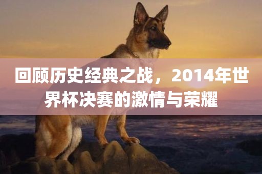 回顾历史经典之战，2014年世界杯决赛的激情与荣耀