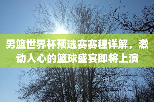 男篮世界杯预选赛赛程详解，激动人心的篮球盛宴即将上演