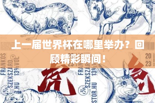 上一届世界杯在哪里举办？回顾精彩瞬间！
