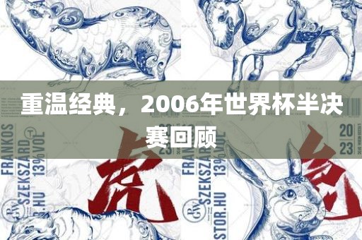 重温经典，2006年世界杯半决赛回顾