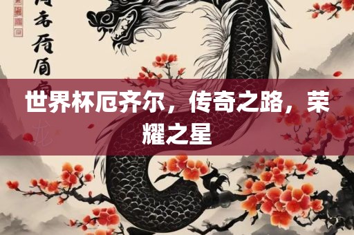 世界杯厄齐尔，传奇之路，荣耀之星