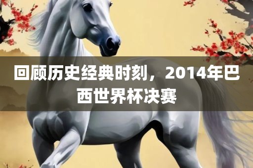 回顾历史经典时刻，2014年巴西世界杯决赛