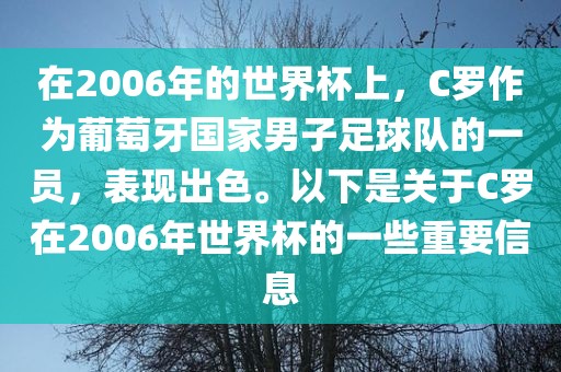 在2006年的世界杯上，C罗作为葡萄牙国家男子足球队的一员，表现出色。以下是关于C罗在2006年世界杯的一些重要信息