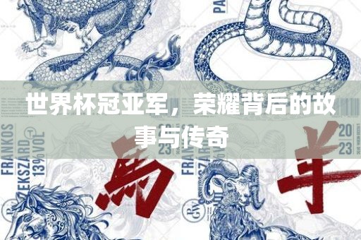 世界杯冠亚军，荣耀背后的故事与传奇