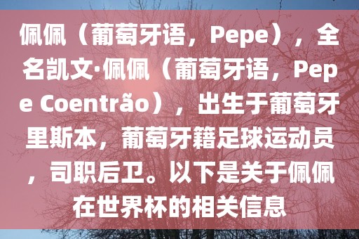 佩佩（葡萄牙语，Pepe），全名凯文·佩佩（葡萄牙语，Pepe Coentr?o），出生于葡萄牙里斯本，葡萄牙籍足球运动员，司职后卫。以下是关于佩佩在世界杯的相关信息