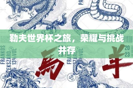 勒夫世界杯之旅，荣耀与挑战并存