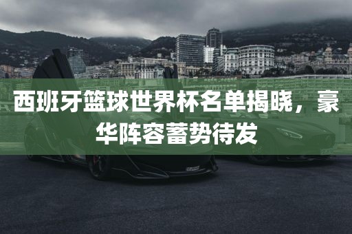西班牙篮球世界杯名单揭晓，豪华阵容蓄势待发