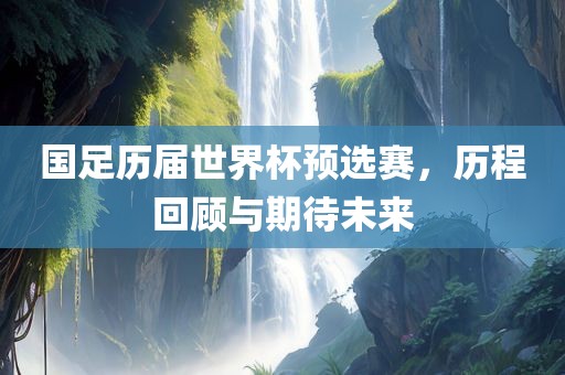 国足历届世界杯预选赛，历程回顾与期待未来