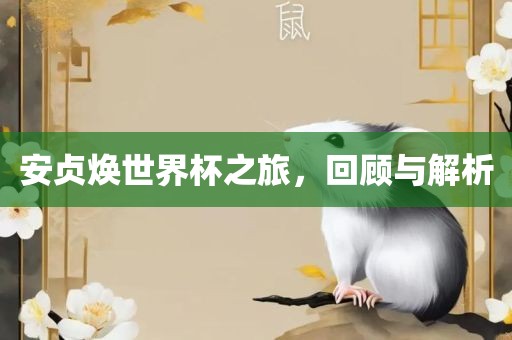 安贞焕世界杯之旅，回顾与解析