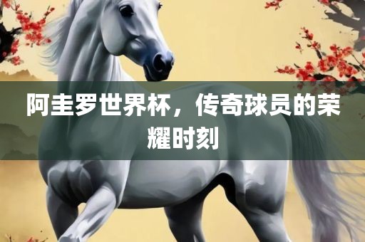 阿圭罗世界杯，传奇球员的荣耀时刻