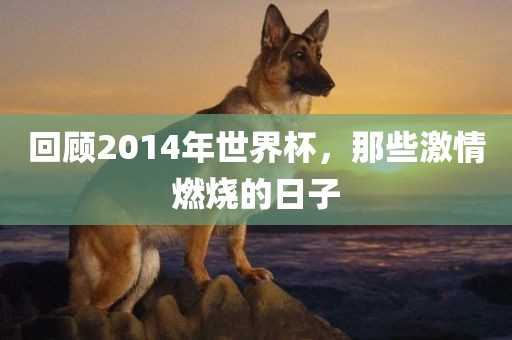 回顾2014年世界杯，那些激情燃烧的日子