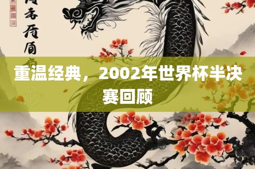 重温经典，2002年世界杯半决赛回顾