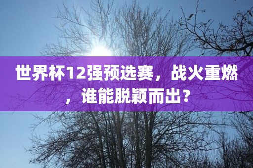 世界杯12强预选赛，战火重燃，谁能脱颖而出？