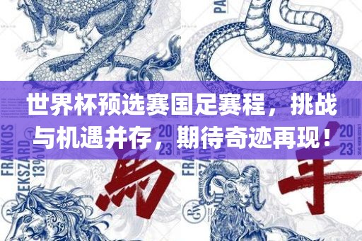 世界杯预选赛国足赛程，挑战与机遇并存，期待奇迹再现！