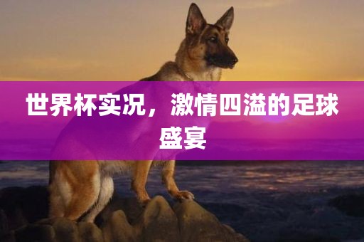 世界杯实况，激情四溢的足球盛宴