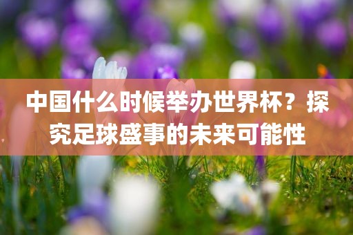 中国什么时候举办世界杯？探究足球盛事的未来可能性