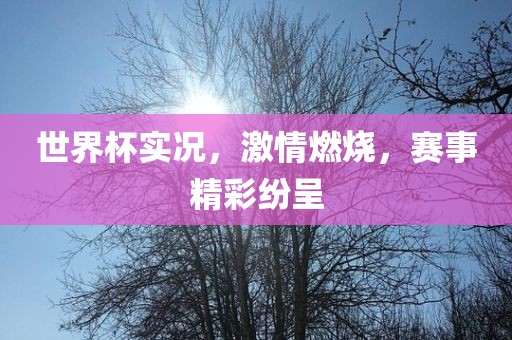 世界杯实况，激情燃烧，赛事精彩纷呈