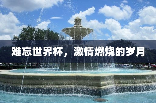 难忘世界杯，激情燃烧的岁月