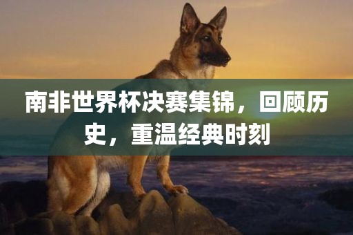 南非世界杯决赛集锦，回顾历史，重温经典时刻