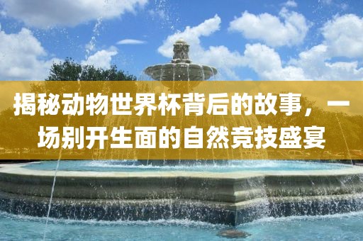 揭秘动物世界杯背后的故事，一场别开生面的自然竞技盛宴