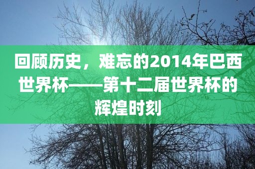 回顾历史，难忘的2014年巴西世界杯——第十二届世界杯的辉煌时刻