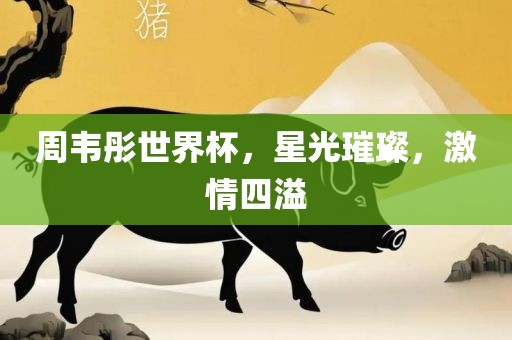 周韦彤世界杯，星光璀璨，激情四溢
