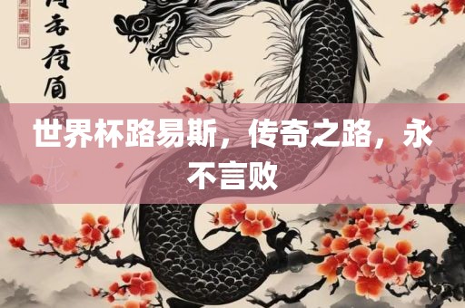 世界杯路易斯，传奇之路，永不言败