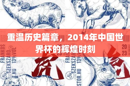 重温历史篇章，2014年中国世界杯的辉煌时刻