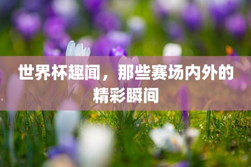 世界杯趣闻，那些赛场内外的精彩瞬间