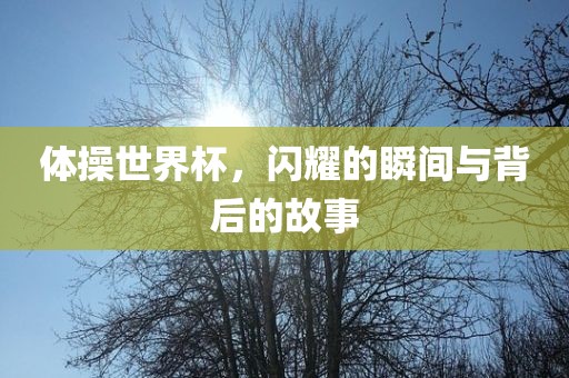 体操世界杯，闪耀的瞬间与背后的故事