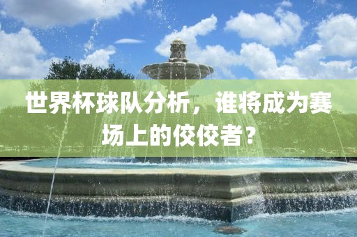 世界杯球队分析，谁将成为赛场上的佼佼者？