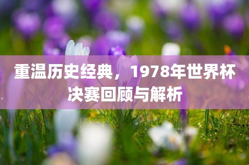 重温历史经典，1978年世界杯决赛回顾与解析